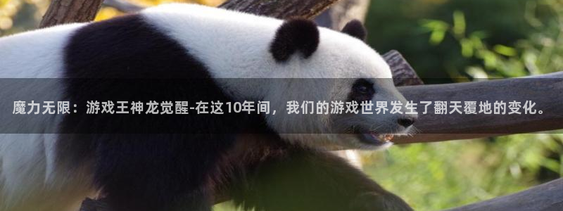 魔力无限：游戏王神龙觉醒-在这10年间，我们的游戏世界发生了