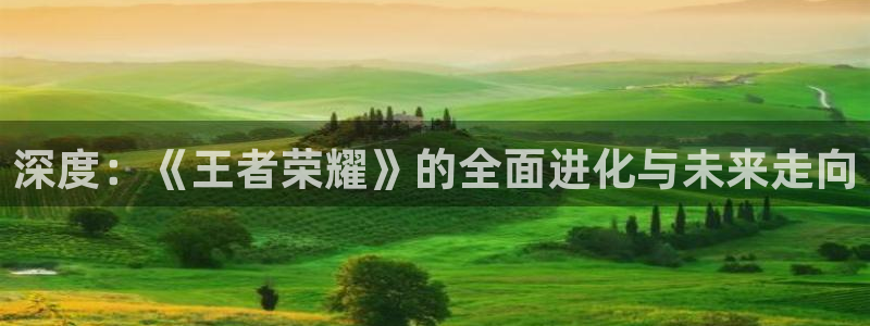 深度：《王者荣耀》的全面进化与未来走向