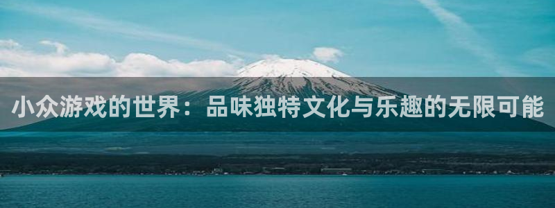 小众游戏的世界：品味独特文化与乐趣的无限可能