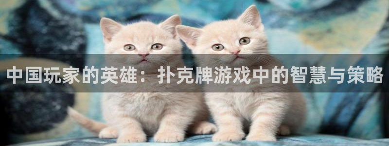 米乐m6贴吧