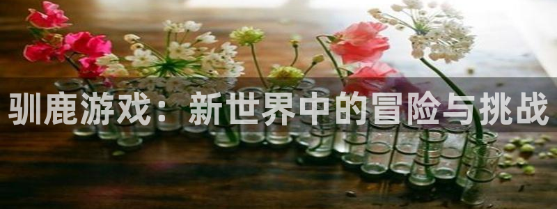 m6米乐手机网页：驯鹿游戏：新世界中的冒险与挑战