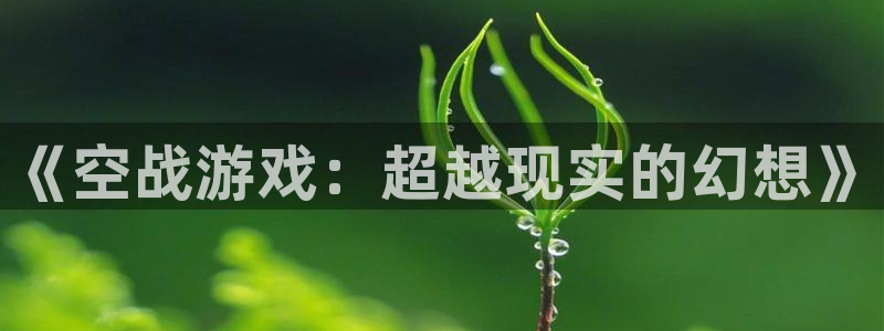 米乐yy易游m6网址：《空战游戏：超越现实的幻想》