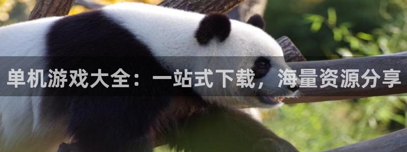 米乐m6平台官方版官网：单机游戏大全：一站式下载，海量资源分