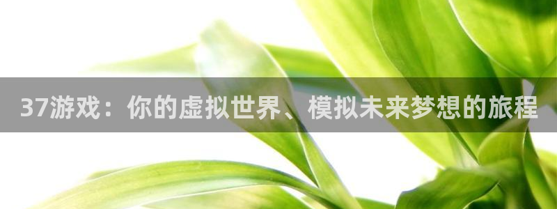 米乐m6有提现成功的吗：37游戏：你的虚拟世界、模拟未来梦想